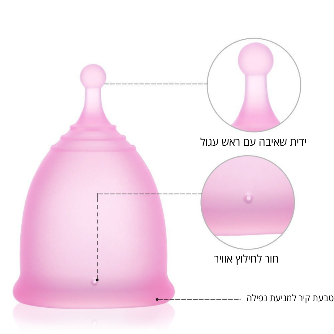 גביעונית לתקופת המחזור